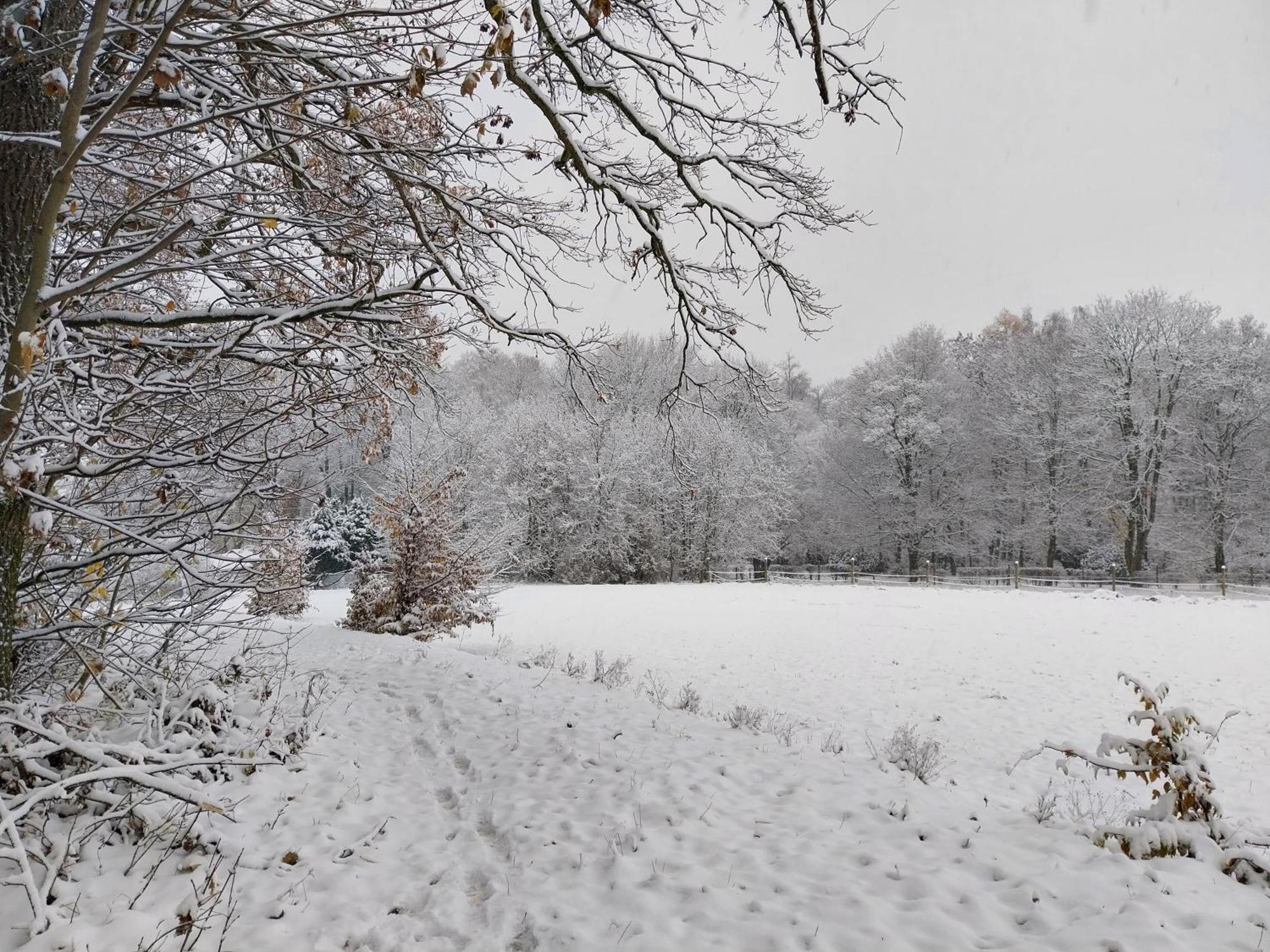Landhotel Waldschloesschen Mit Gaststube Sohland a. d. Spree Kültér fotó