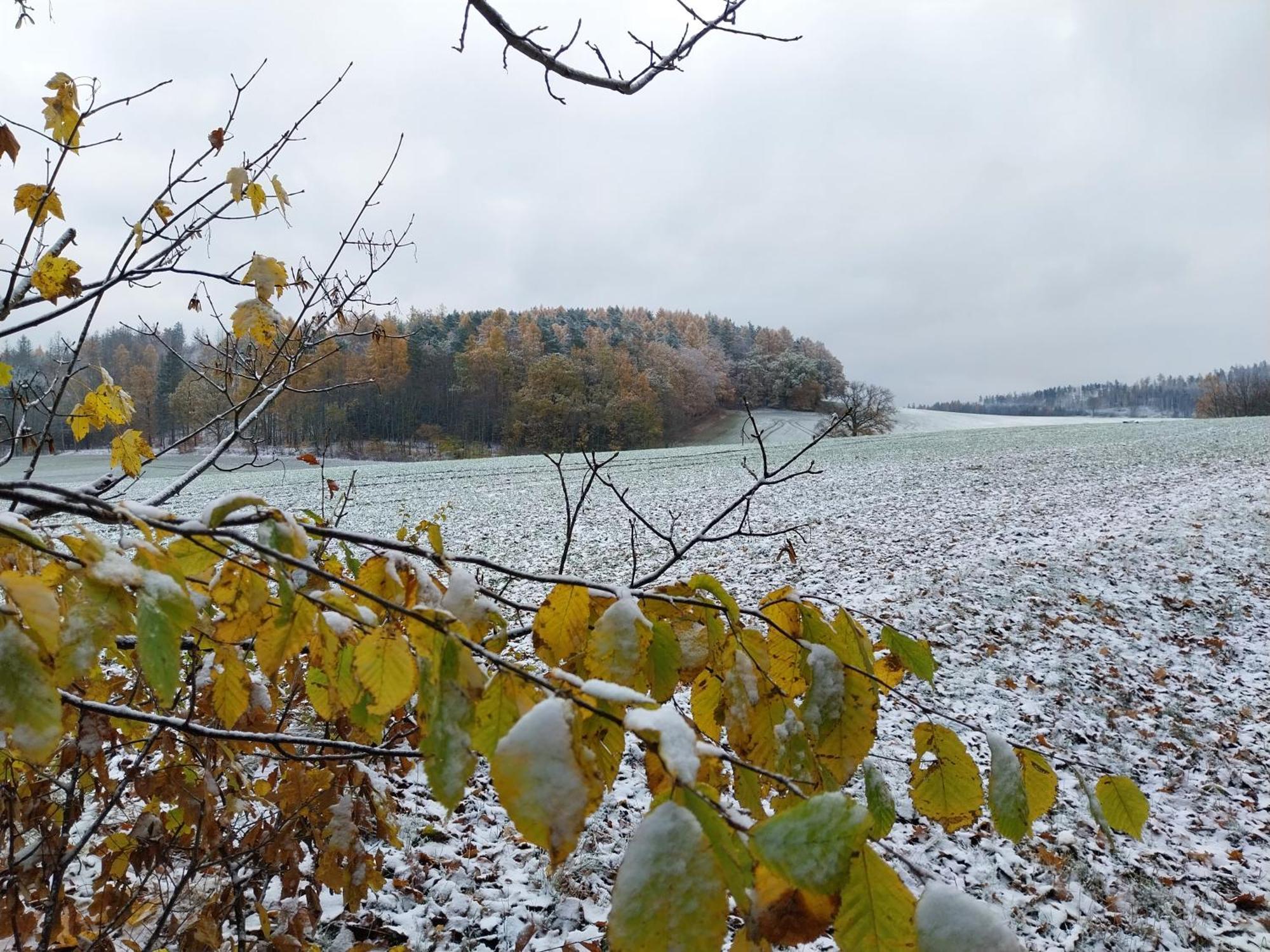 Landhotel Waldschloesschen Mit Gaststube Sohland a. d. Spree Kültér fotó